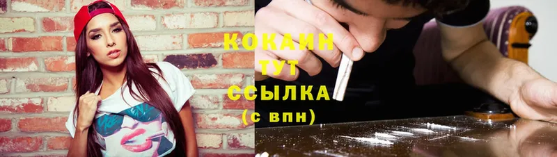 COCAIN Эквадор  купить наркотик  Инсар 