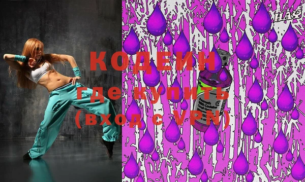 шишки Надым