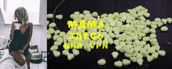 шишки Надым