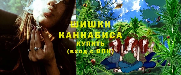 шишки Надым