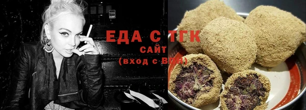 шишки Надым