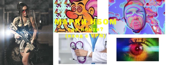 шишки Надым