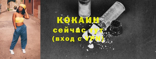 шишки Надым