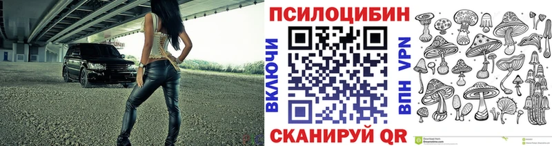 купить наркотик Инсар Галлюциногенные грибы GOLDEN TEACHER